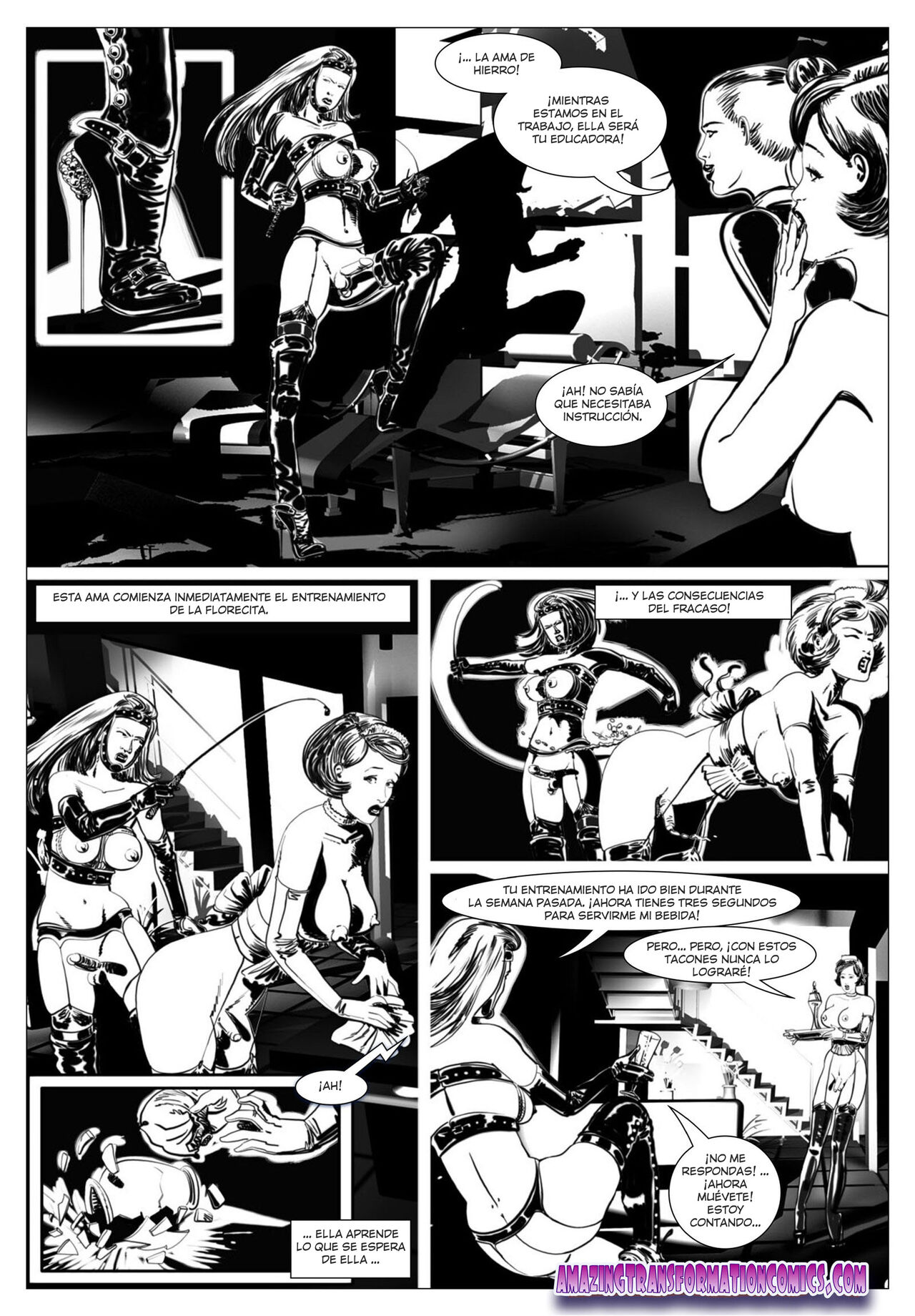 Flor Negra image number 13