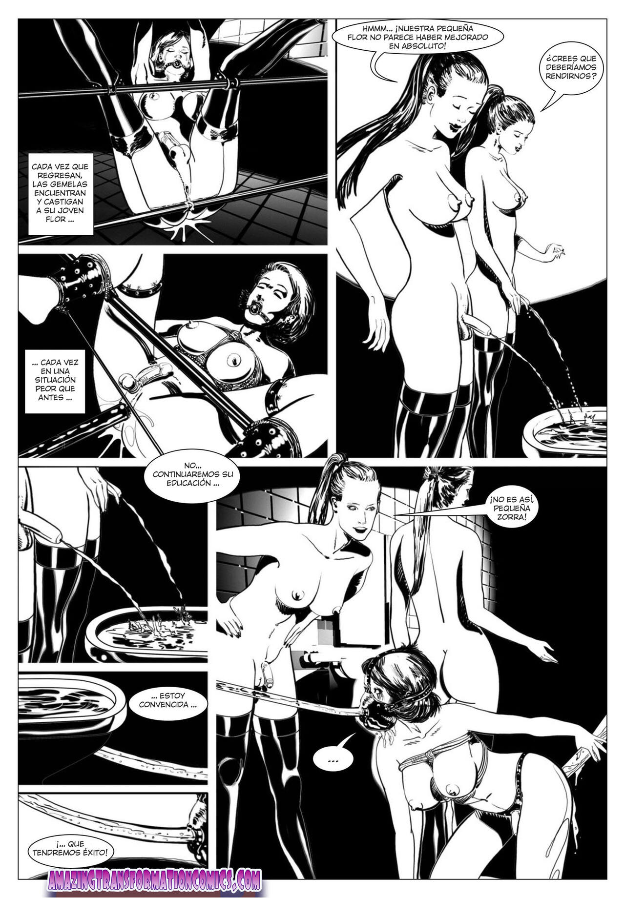 Flor Negra image number 15