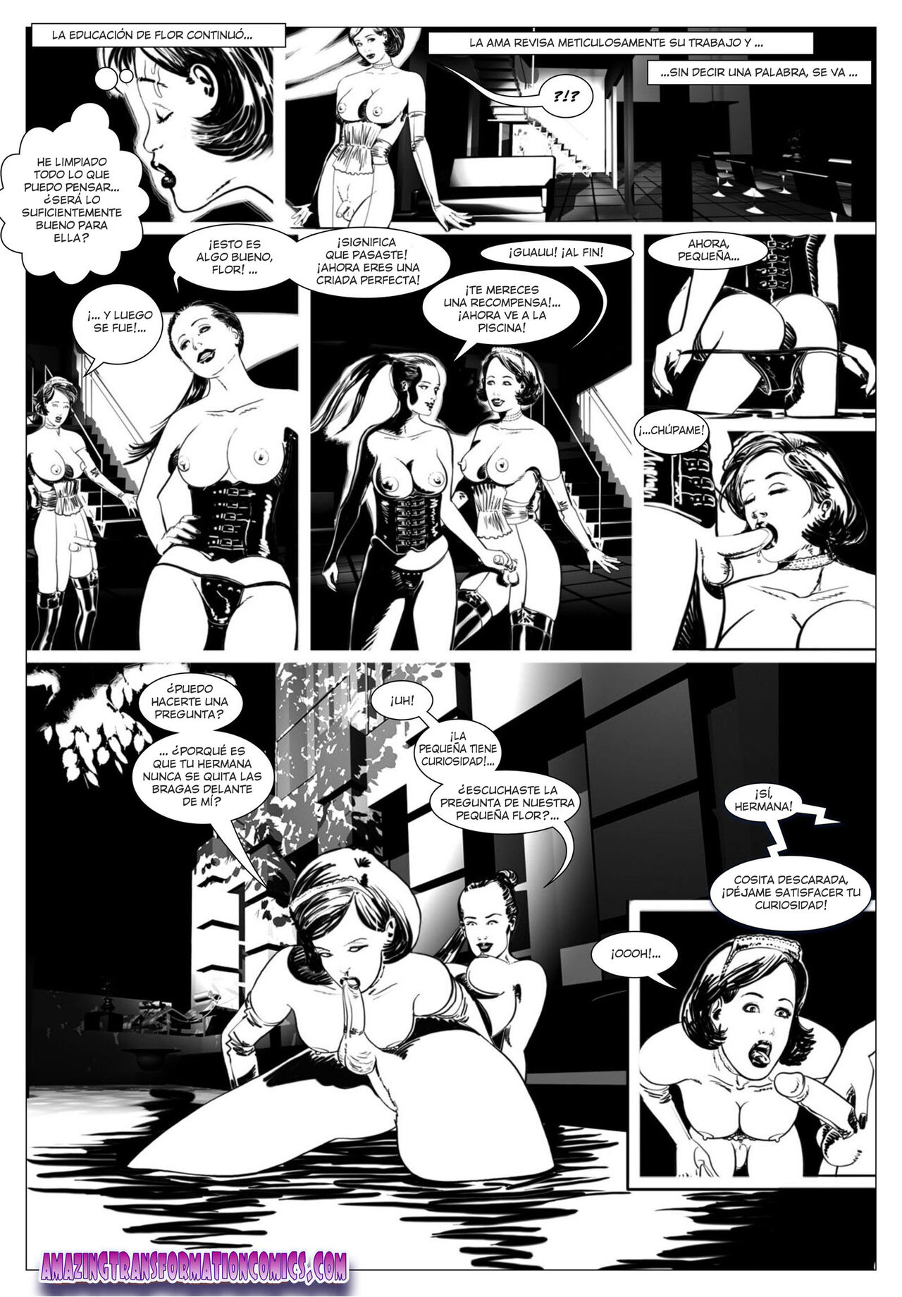 Flor Negra image number 18