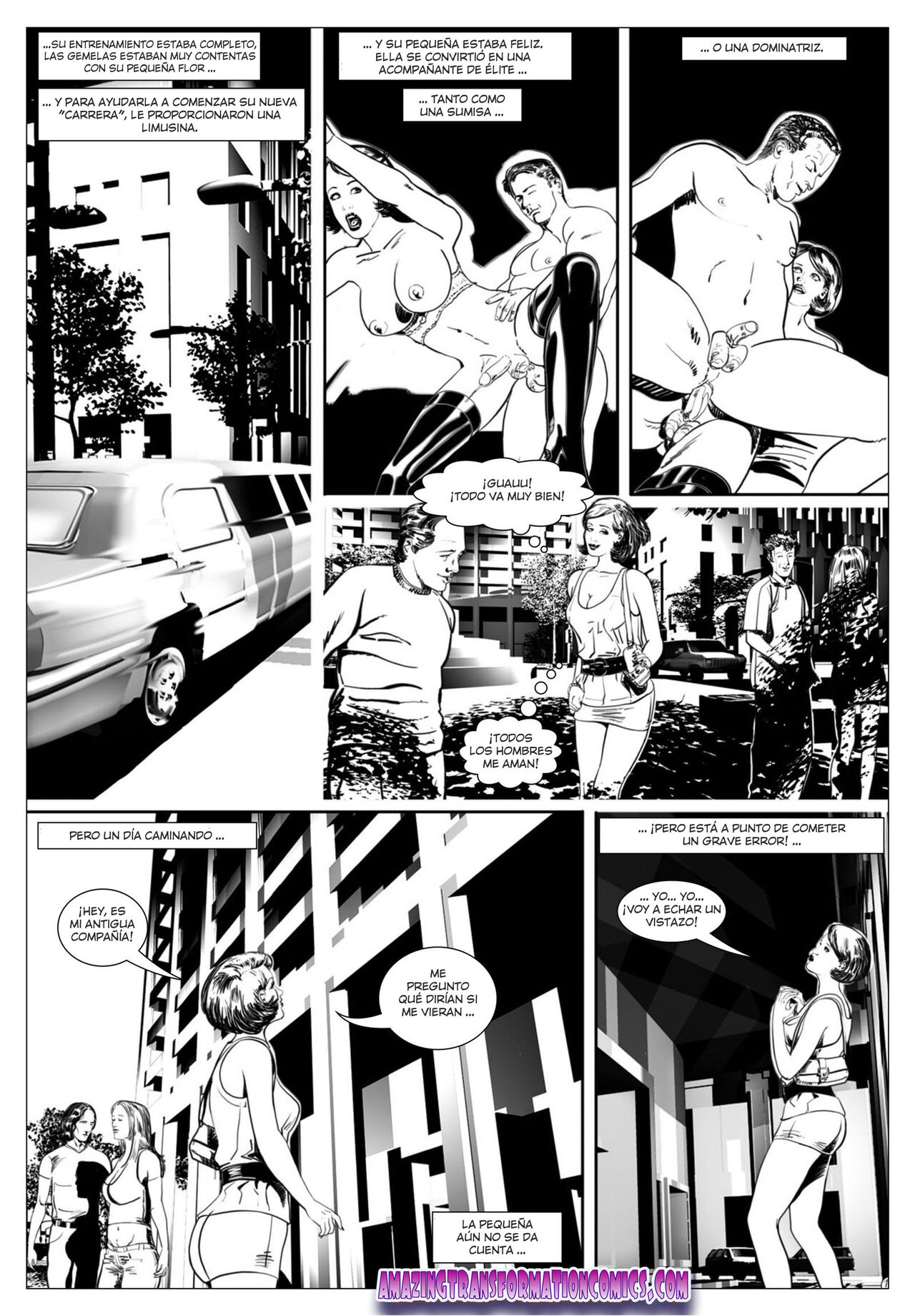 Flor Negra image number 21