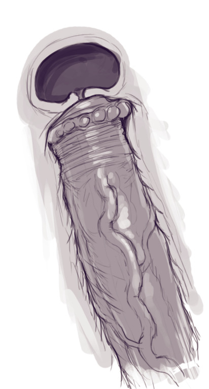 Power Girl Sobre Darkseid image number 20