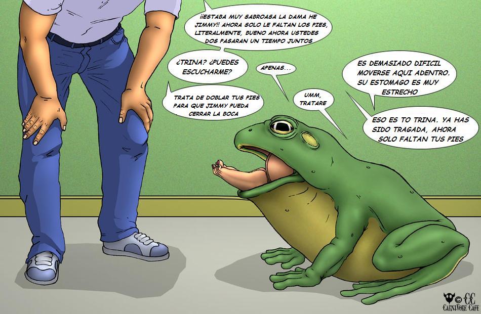 THE GIANT FROG image number 8
