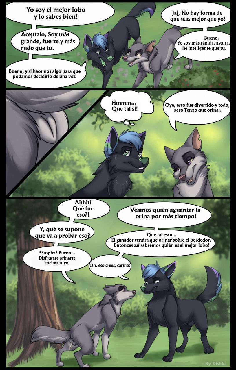 El Concurso de Contención