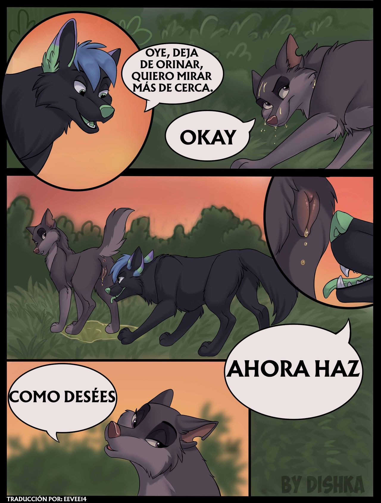 El Concurso de Contención image number 6