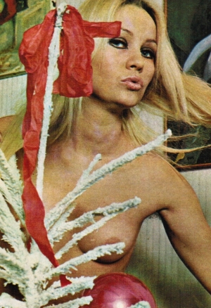 Revista Viejo Verde N°24