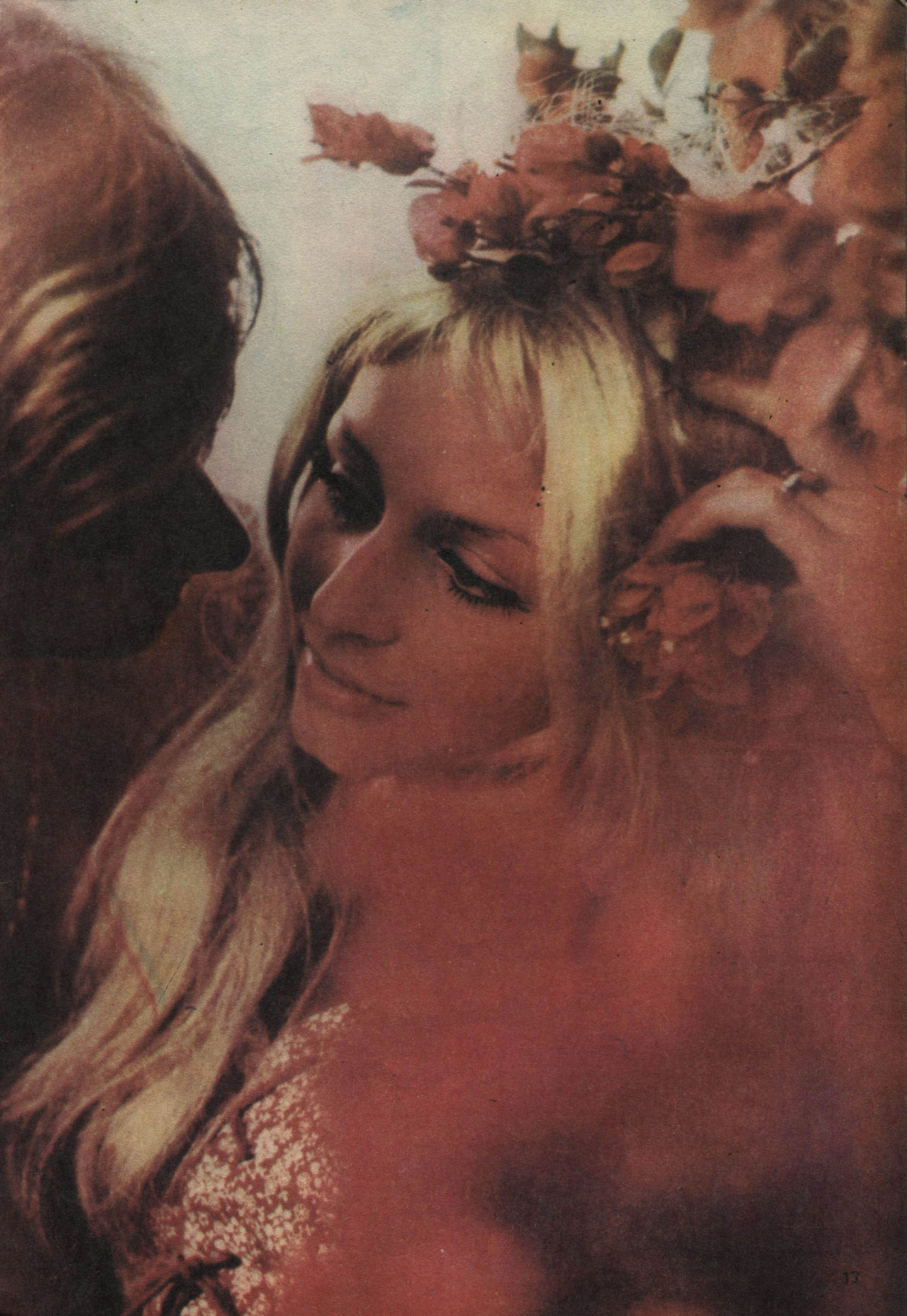 Revista Viejo Verde N°54 image number 18