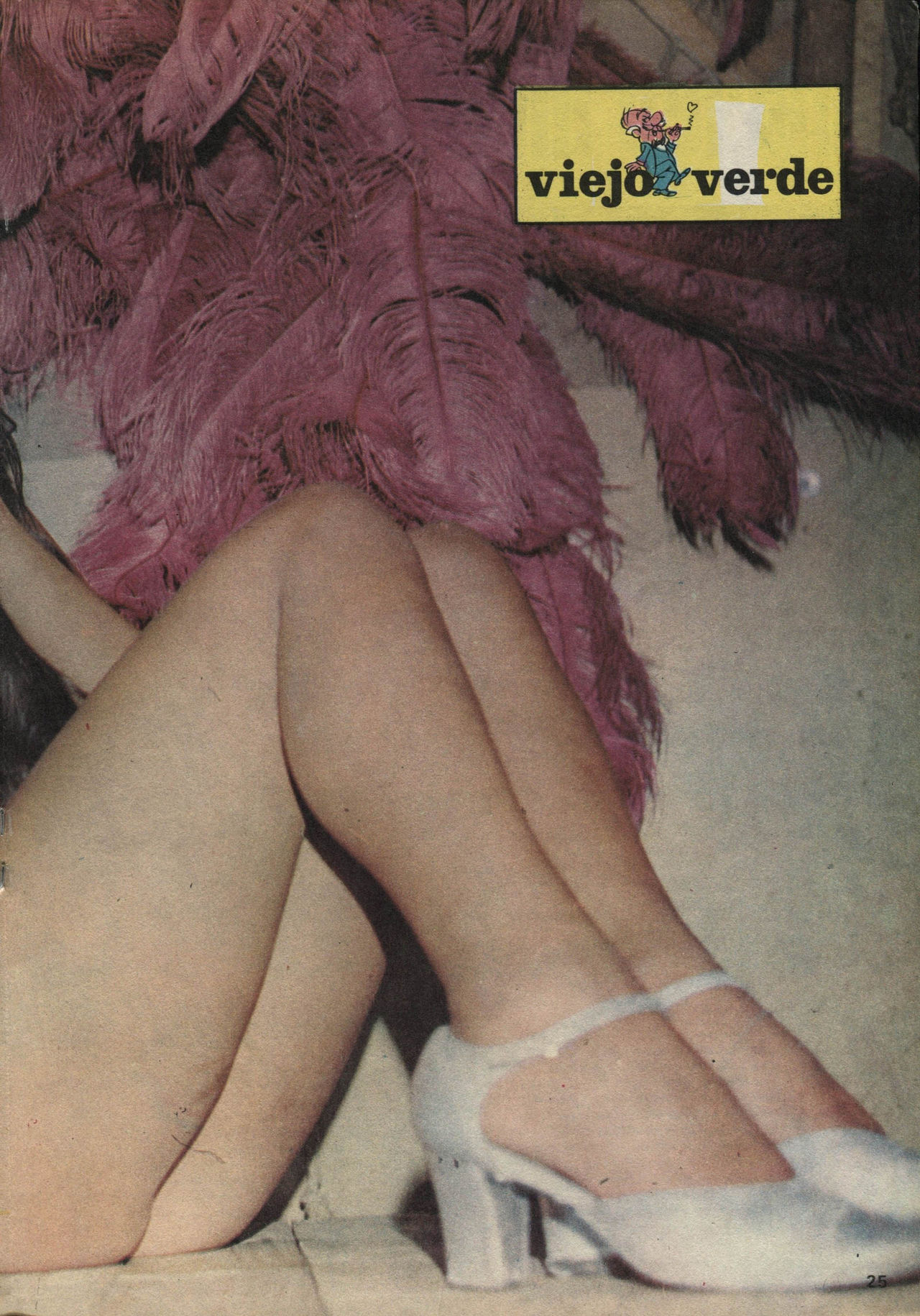 Revista Viejo Verde N°54 image number 27