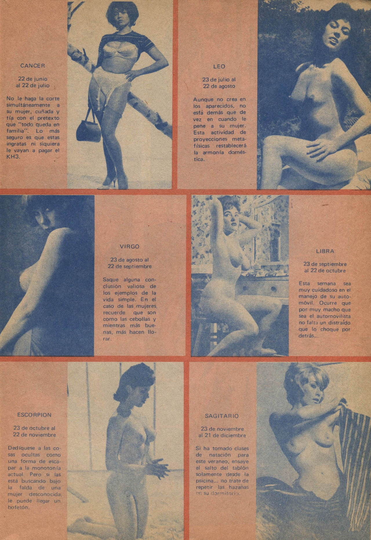 Revista Viejo Verde N°54 image number 50