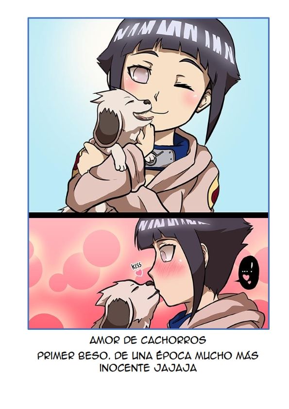 Hinata loves Akamaru image number 36