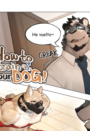 How to Train your Dog