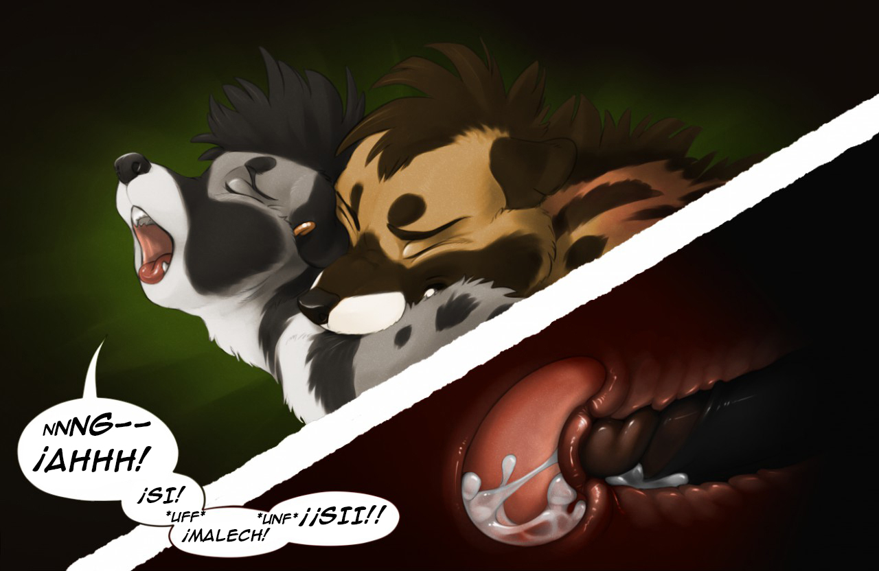 Kalahari Its Not About the Mangoes image number 12