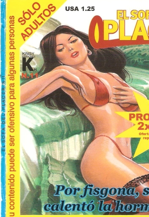 El Sofa del Placer 0011