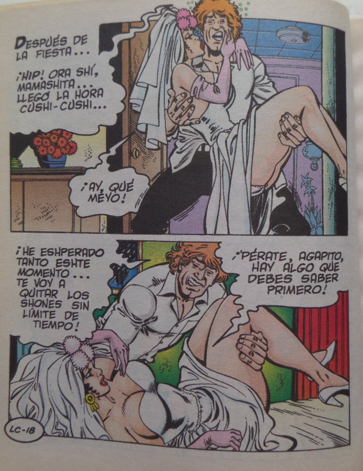 Luchas Calientes y las Gordas del Ring 14 image number 10