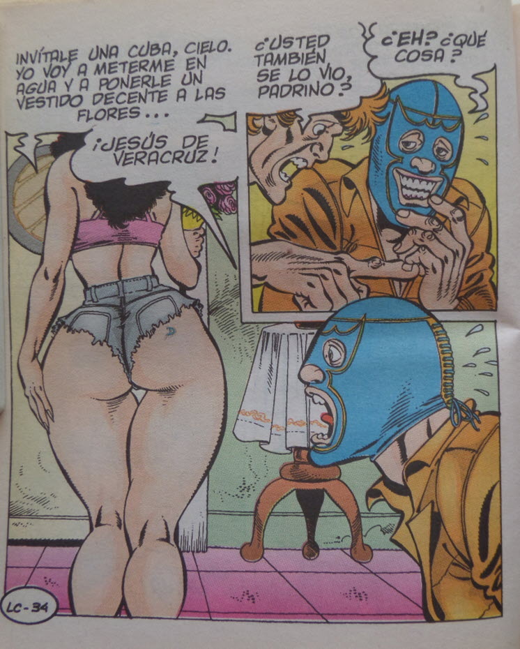 Luchas Calientes y las Gordas del Ring 14 image number 25