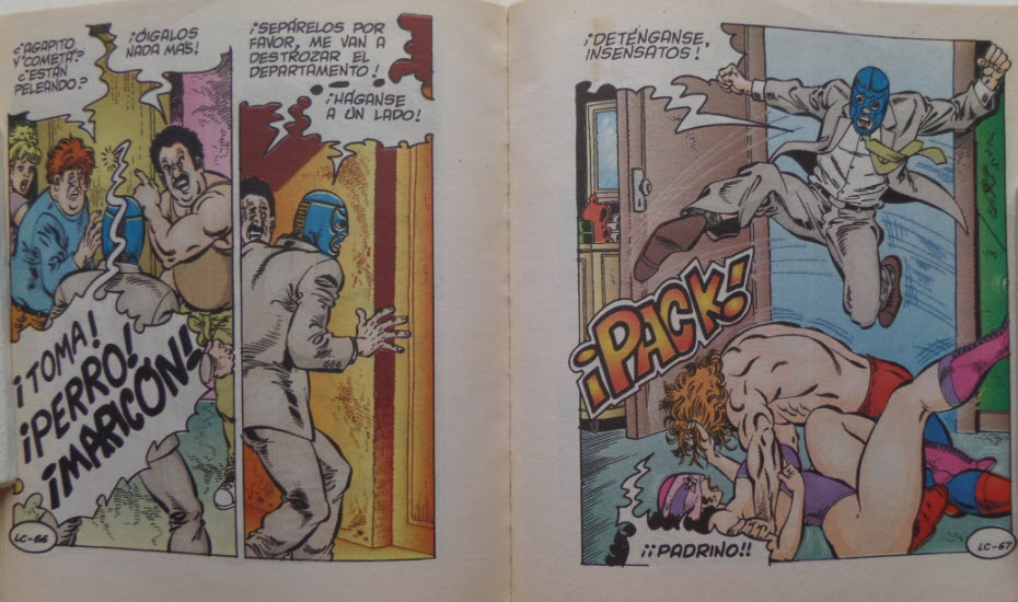 Luchas Calientes y las Gordas del Ring 14 image number 42